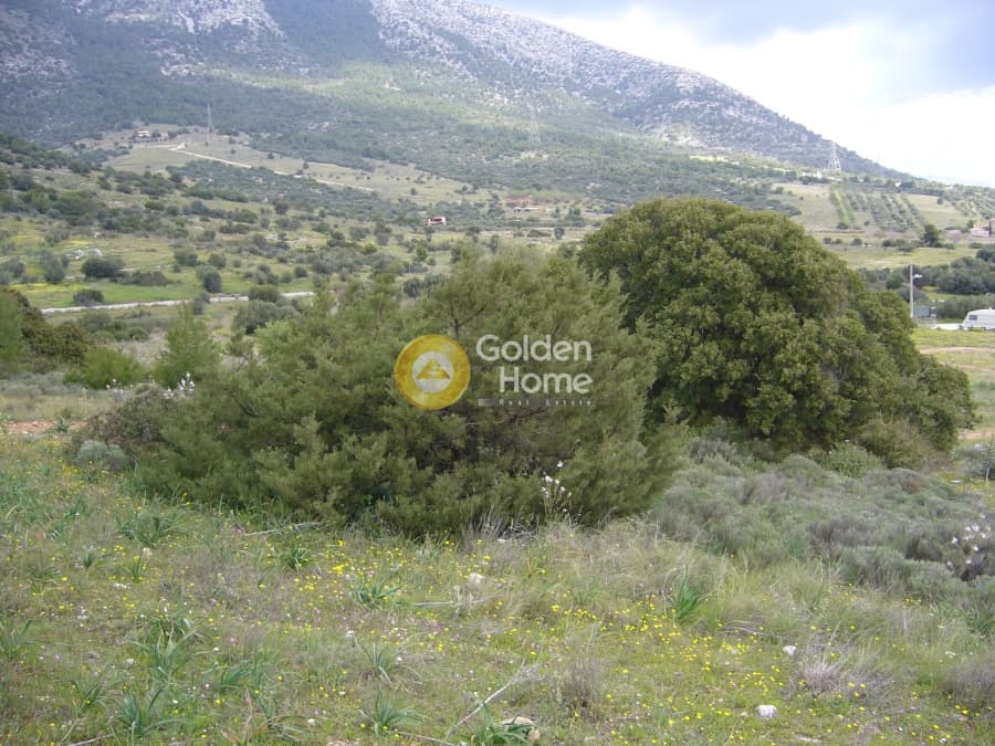 Parcel in Center, Koropi — Photo 12 of 12