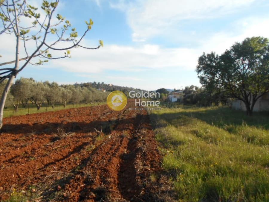 Parcel in Center, Koropi — Photo 1 of 7