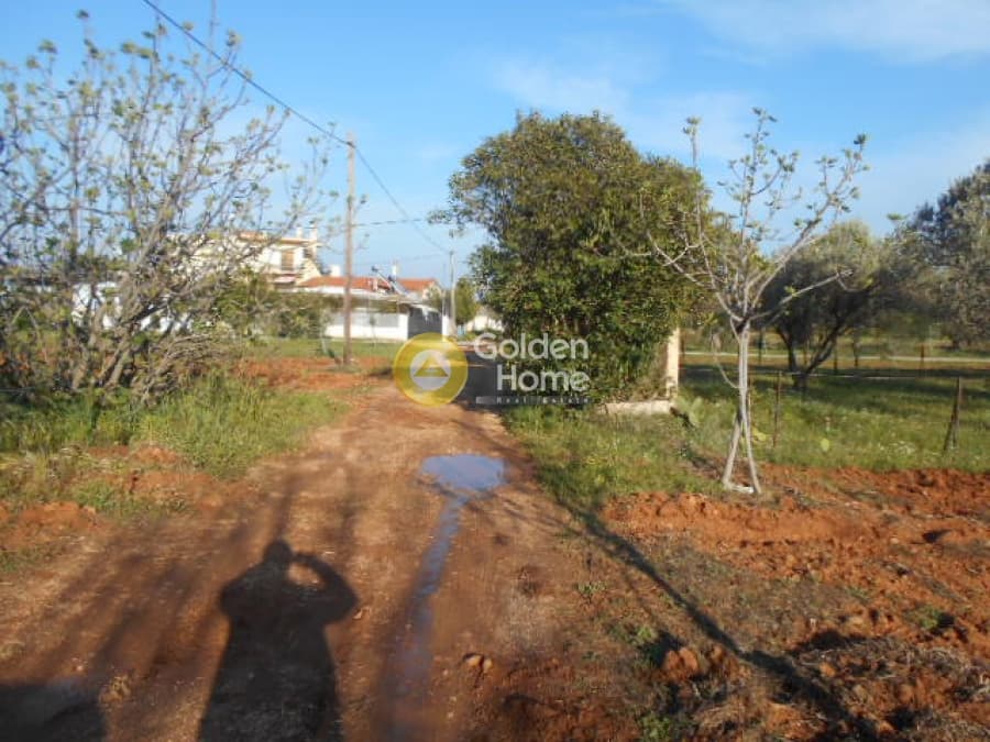 Parcel in Center, Koropi — Photo 3 of 7