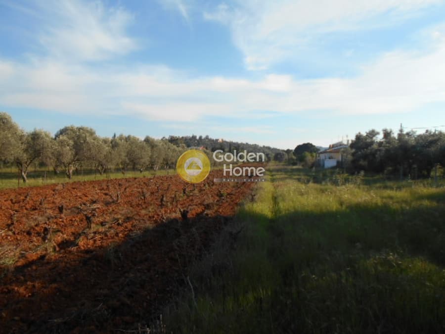 Parcel in Center, Koropi — Photo 4 of 7