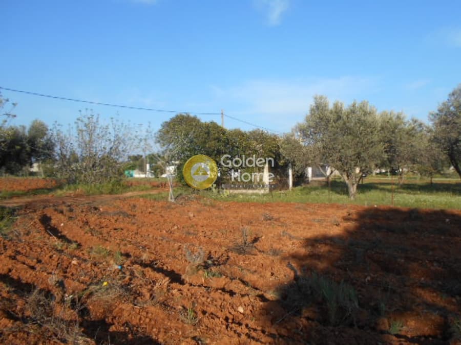 Parcel in Center, Koropi — Photo 5 of 7