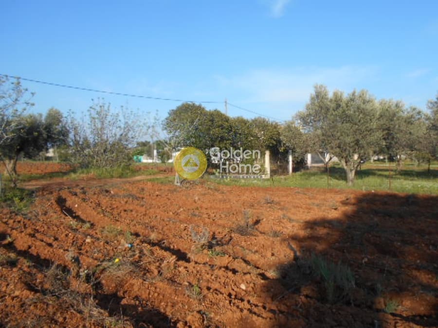 Parcel in Center, Koropi — Photo 6 of 7