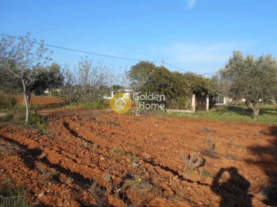 Parcel in Center, Koropi — Photo 7 of 7