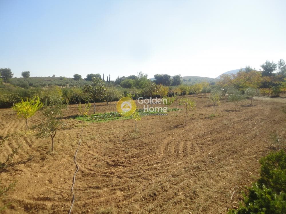 Parcel in Amigdaleza, Stamata — Photo 2 of 8