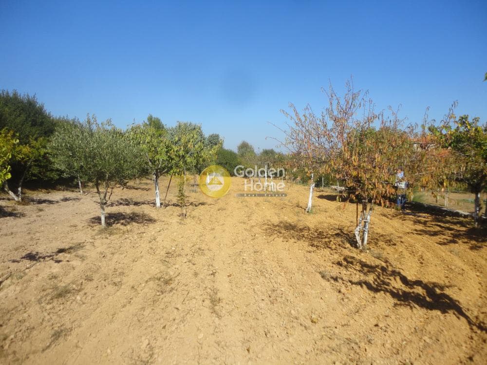 Parcel in Amigdaleza, Stamata — Photo 6 of 8