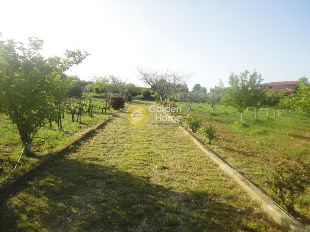 Parcel in Amigdaleza, Stamata — Photo 7 of 8