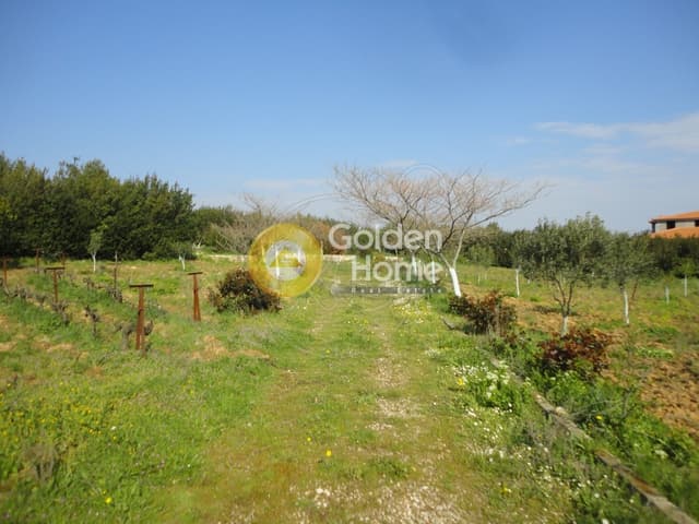 Parcel in Amigdaleza, Stamata — Photo 8 of 8