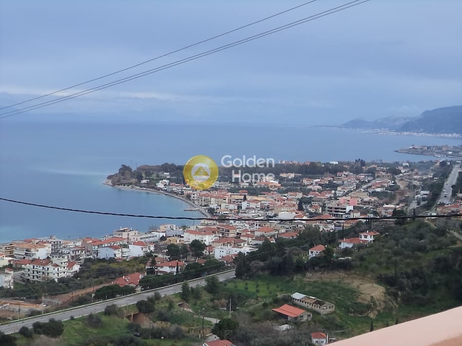 Μονοκατοικία στην Άμπελος, Ακράτα — Φωτογραφία 2 από 6