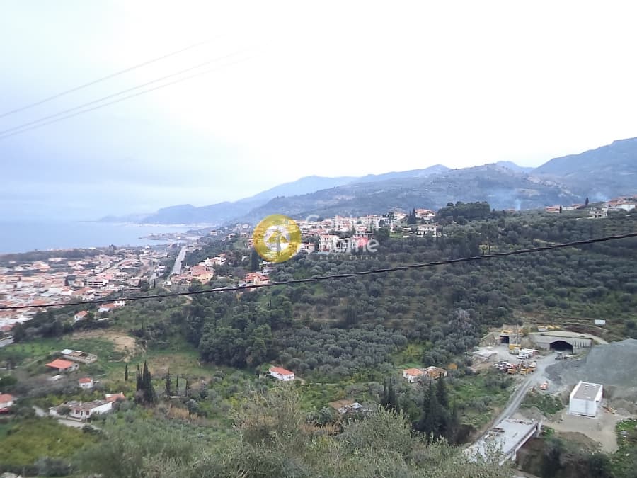 Μονοκατοικία στην Άμπελος, Ακράτα — Φωτογραφία 3 από 6