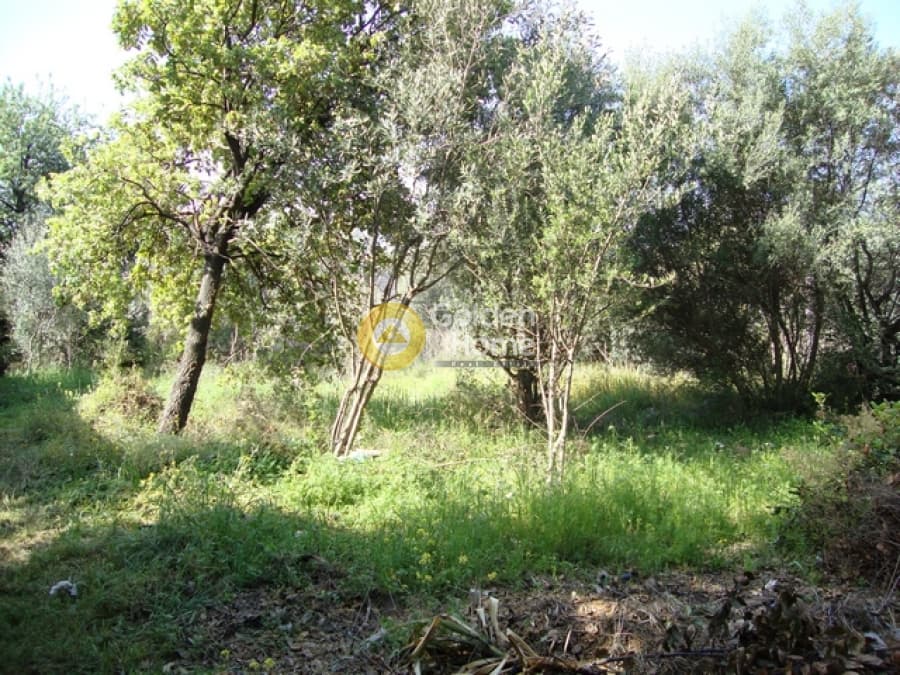 Οικόπεδο στην Άνω Μπαλάνα, Παλλήνη — Φωτογραφία 1 από 3