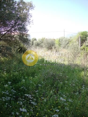 Οικόπεδο στην Άνω Μπαλάνα, Παλλήνη — Φωτογραφία 3 από 3