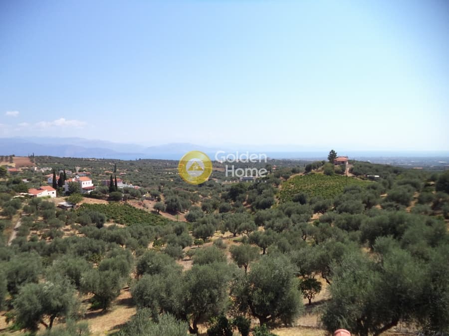 Μονοκατοικία στην Άγιος Νικόλαος, Αίγιο — Φωτογραφία 12 από 14