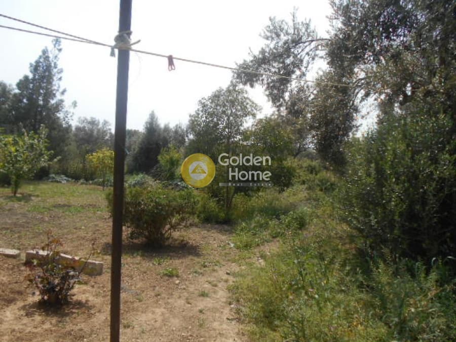 House in Agia Marina, Paiania — Photo 7 of 13