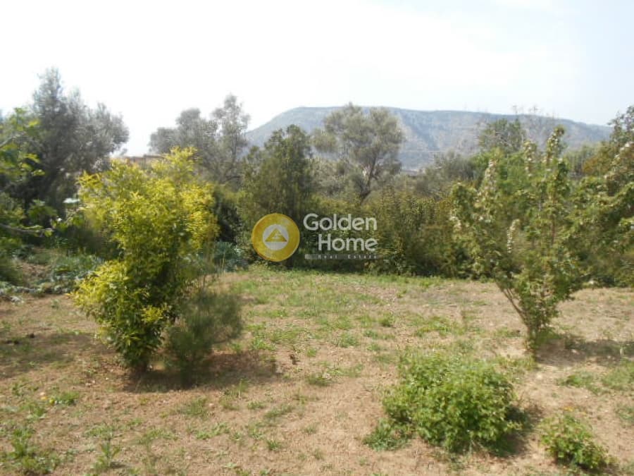 House in Agia Marina, Paiania — Photo 9 of 13