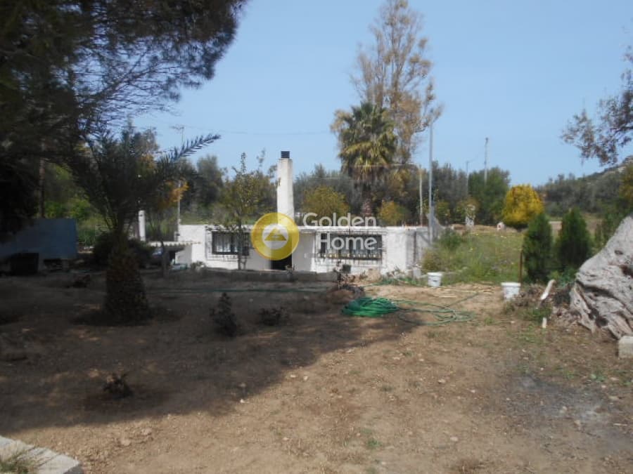 House in Agia Marina, Paiania — Photo 10 of 13