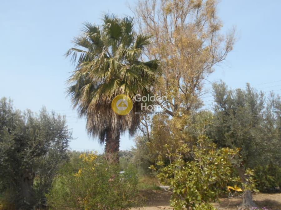 House in Agia Marina, Paiania — Photo 12 of 13
