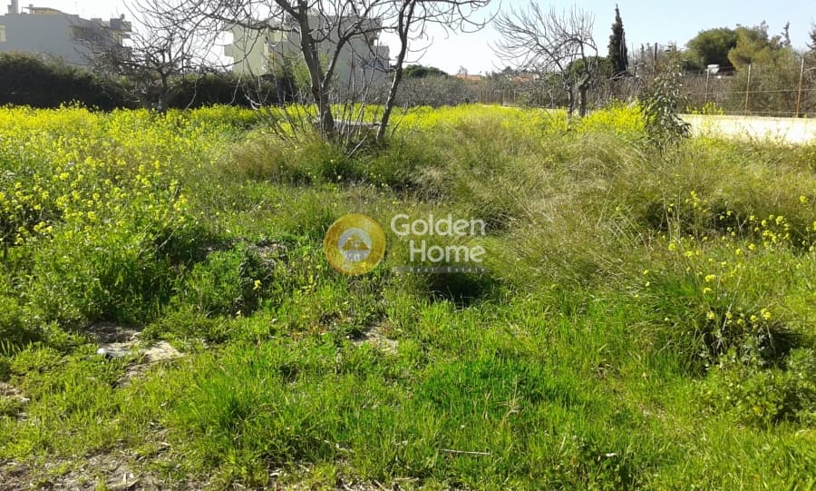 Οικόπεδο στην Καλύβια, Καλύβια Θορικού — Φωτογραφία 4 από 8
