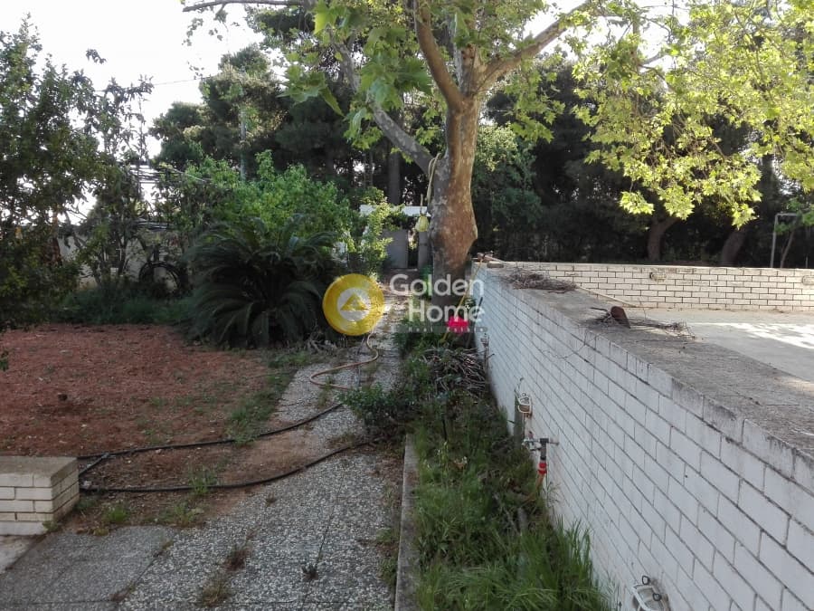 House in Prokonnisos, Stamata — Photo 5 of 23