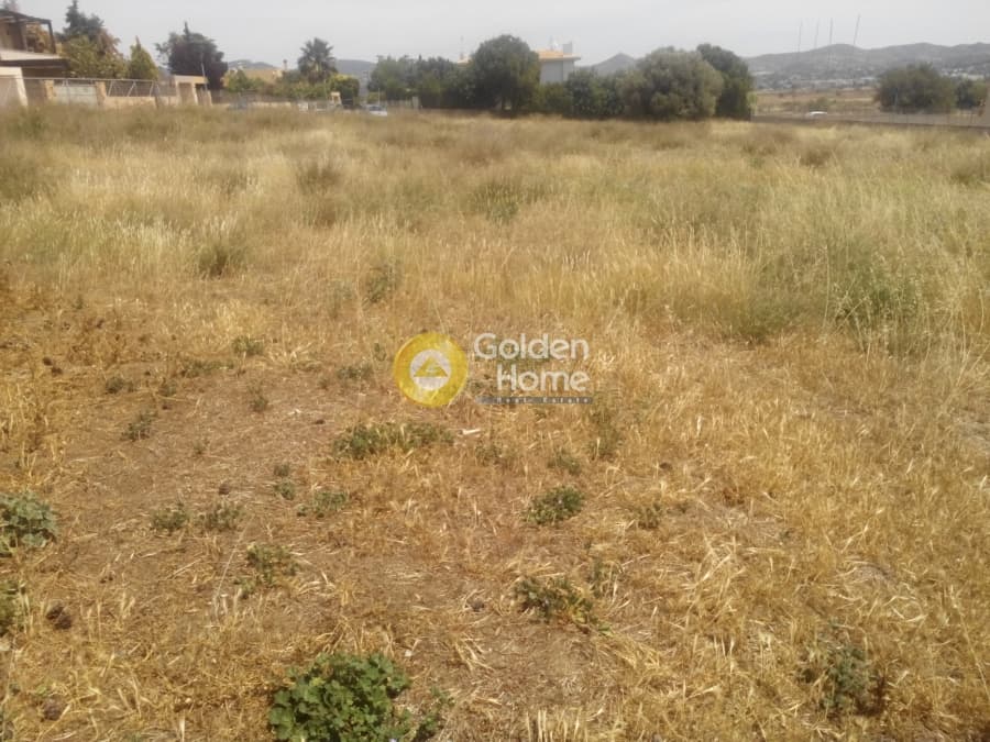 Building Plot in Agios Nikolaos, Anavissos — Photo 4 of 4