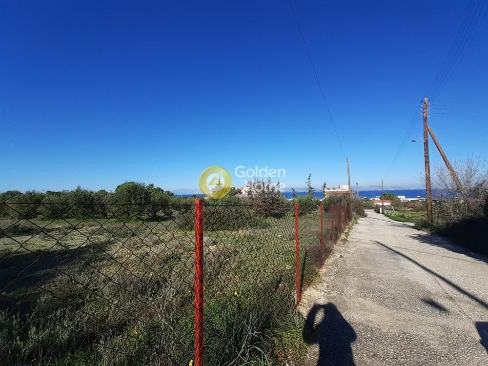 Οικόπεδο στην Βαΐα, Αίγινα — Φωτογραφία 1 από 4