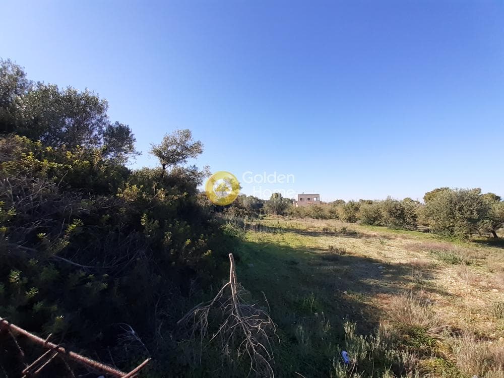 Οικόπεδο στην Βαΐα, Αίγινα — Φωτογραφία 3 από 4