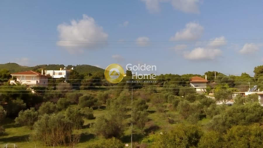 House in Kato Poseidonia, Lavrio — Photo 29 of 57