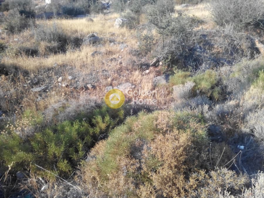 Building Plot in Anavyssos Center, Anavissos — Photo 3 of 5