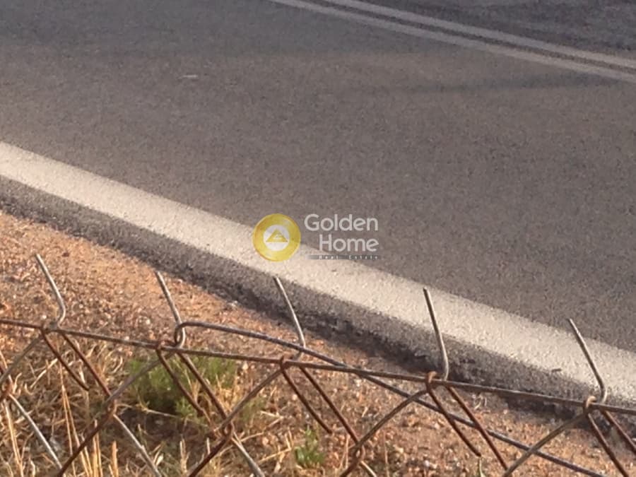 Parcel in Kalivia, Kalivia Thorikou — Photo 3 of 5