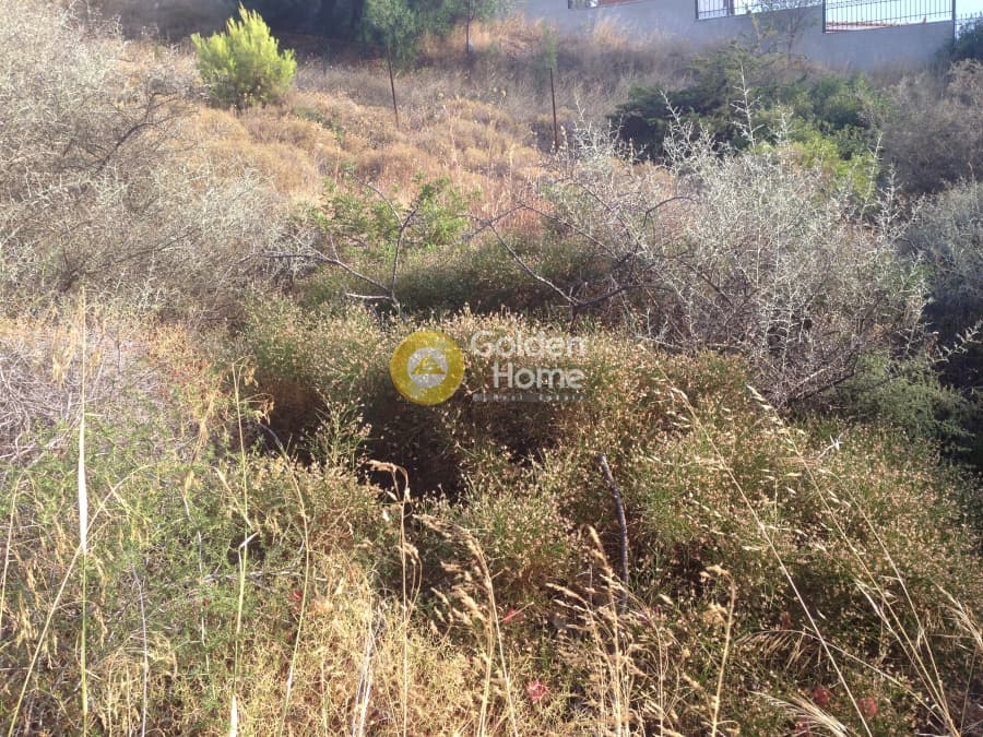 Parcel in Kalivia, Kalivia Thorikou — Photo 5 of 5
