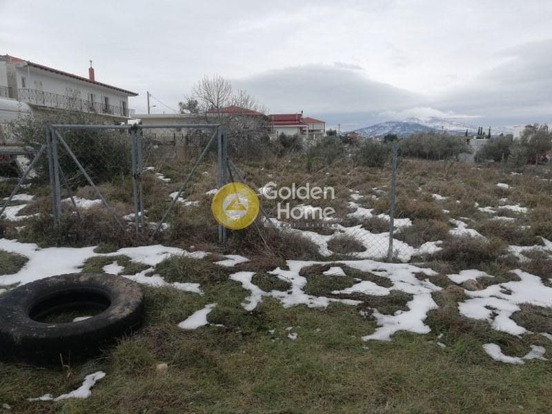 Οικόπεδο στην Μεγάλα Σχοινία Α, Αχαρνές — Φωτογραφία 2 από 2