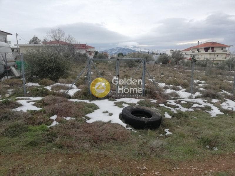 Οικόπεδο στην Μεγάλα Σχοινία Α, Αχαρνές — Φωτογραφία 1 από 2
