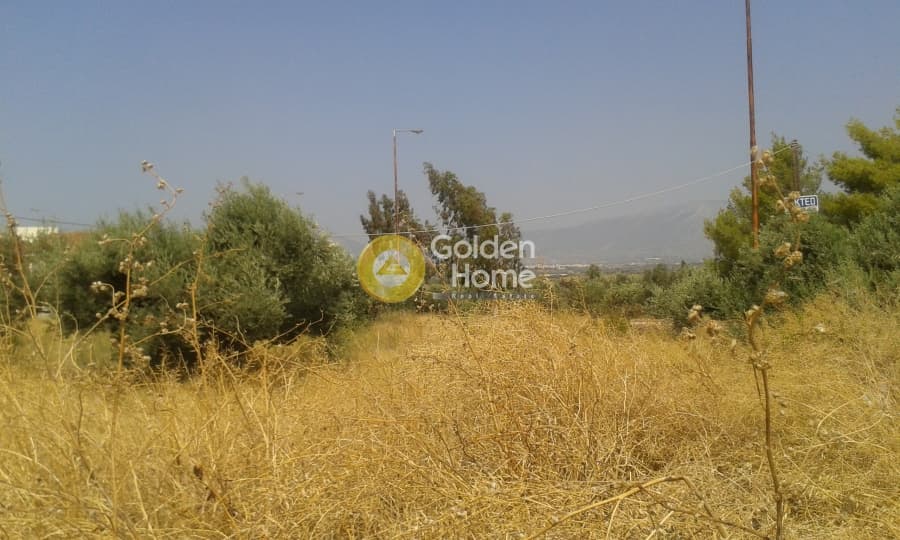 Building Plot in Center, Markopoulo — Photo 2 of 3