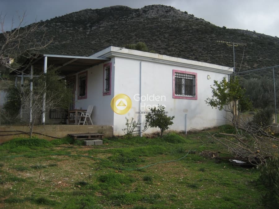 Μονοκατοικία στην Κέντρο, Καλύβια Θορικού — Φωτογραφία 18 από 20