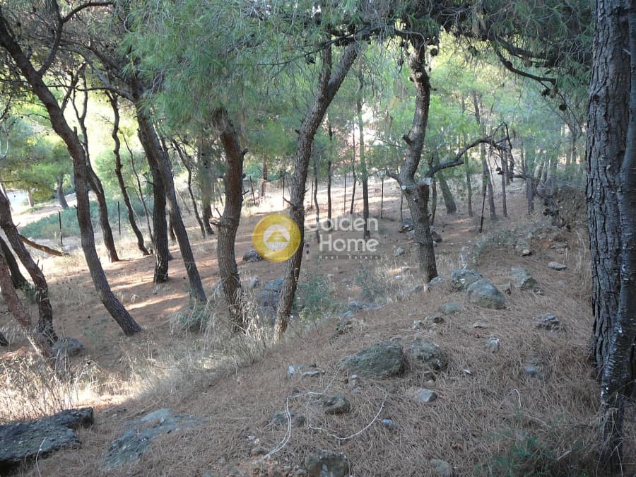 Building Plot in Kalitexnoupoli, Rafina — Photo 2 of 12