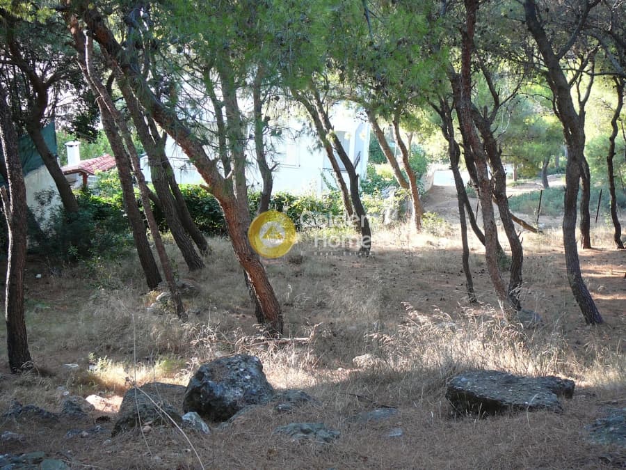 Building Plot in Kalitexnoupoli, Rafina — Photo 3 of 12