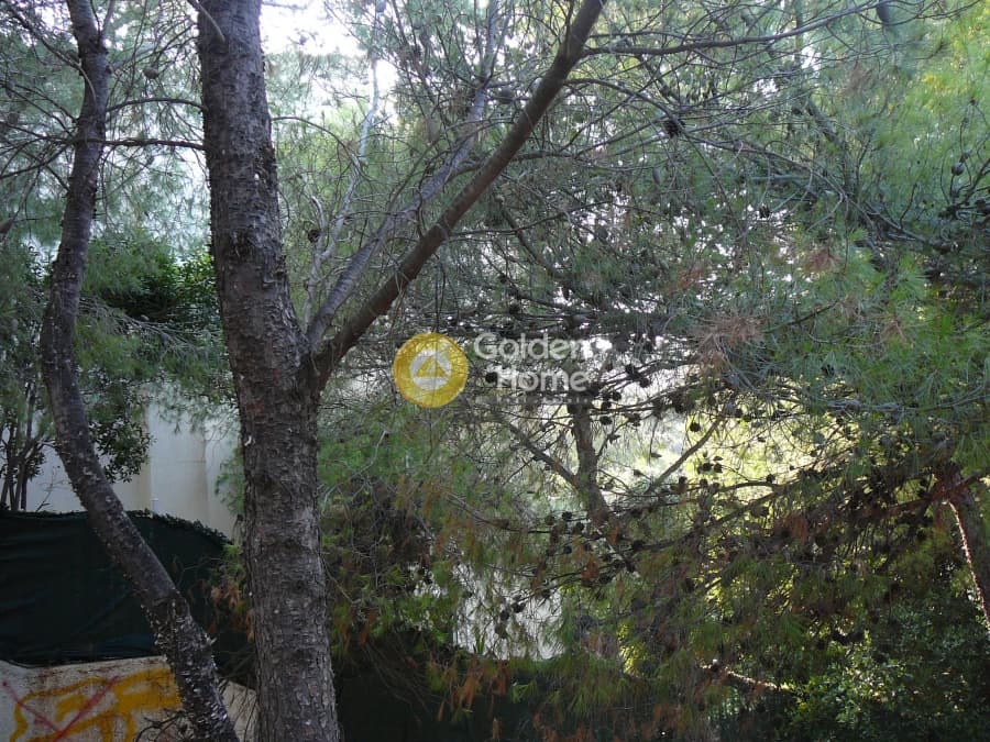 Building Plot in Kalitexnoupoli, Rafina — Photo 4 of 12