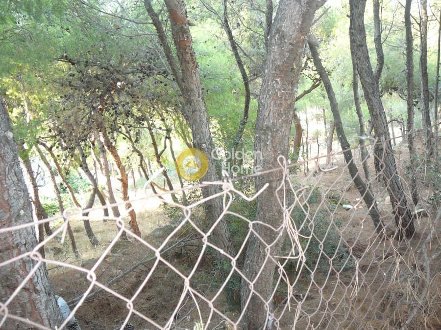 Building Plot in Kalitexnoupoli, Rafina — Photo 6 of 12