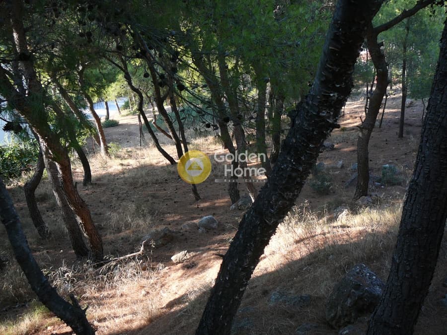 Building Plot in Kalitexnoupoli, Rafina — Photo 10 of 12