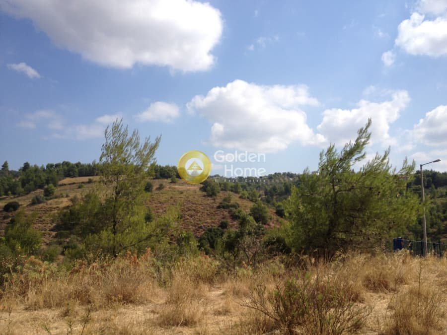 Μονοκατοικία στην Καπανδρίτι, Κ. Καπανδριτίου — Φωτογραφία 5 από 21