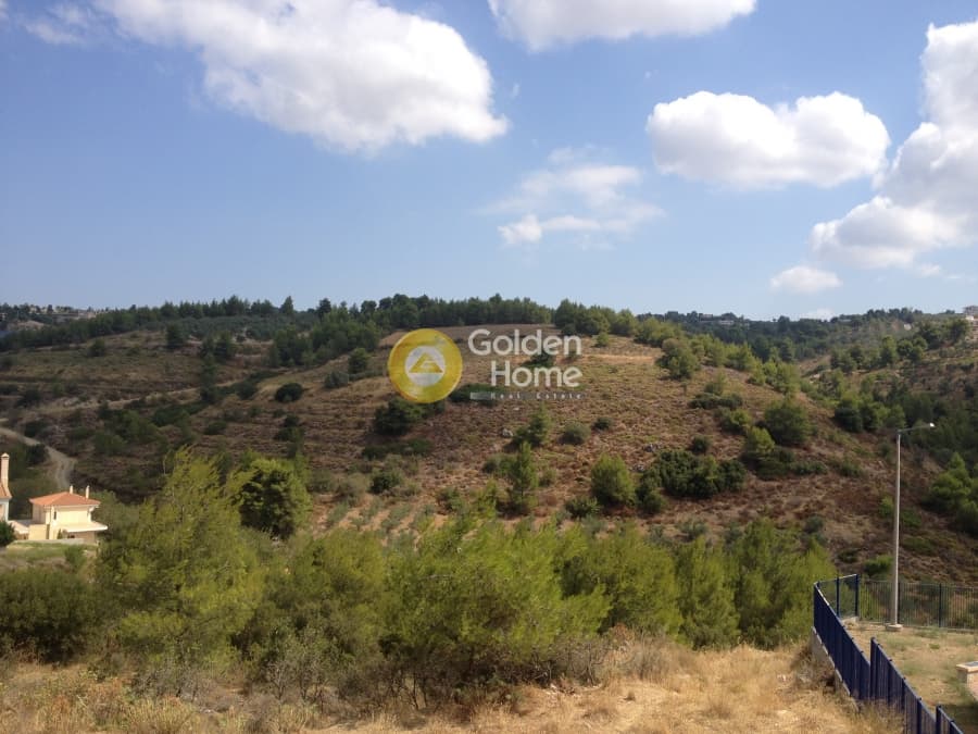 Μονοκατοικία στην Καπανδρίτι, Κ. Καπανδριτίου — Φωτογραφία 17 από 17