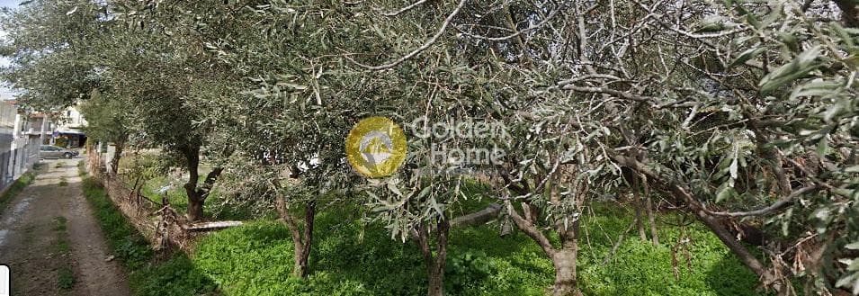 Μονοκατοικία στην Μεγάλα Σχοινία Α, Αχαρνές — Φωτογραφία 8 από 9