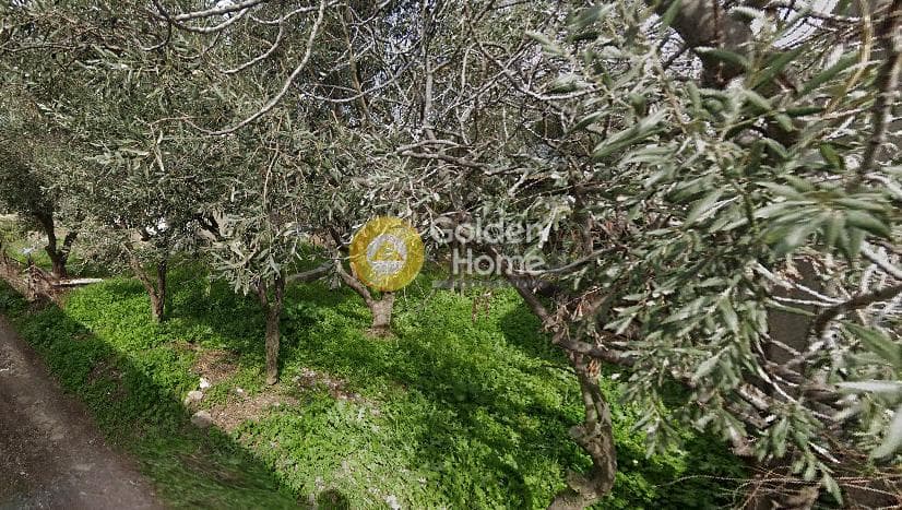 Μονοκατοικία στην Μεγάλα Σχοινία Α, Αχαρνές — Φωτογραφία 6 από 9