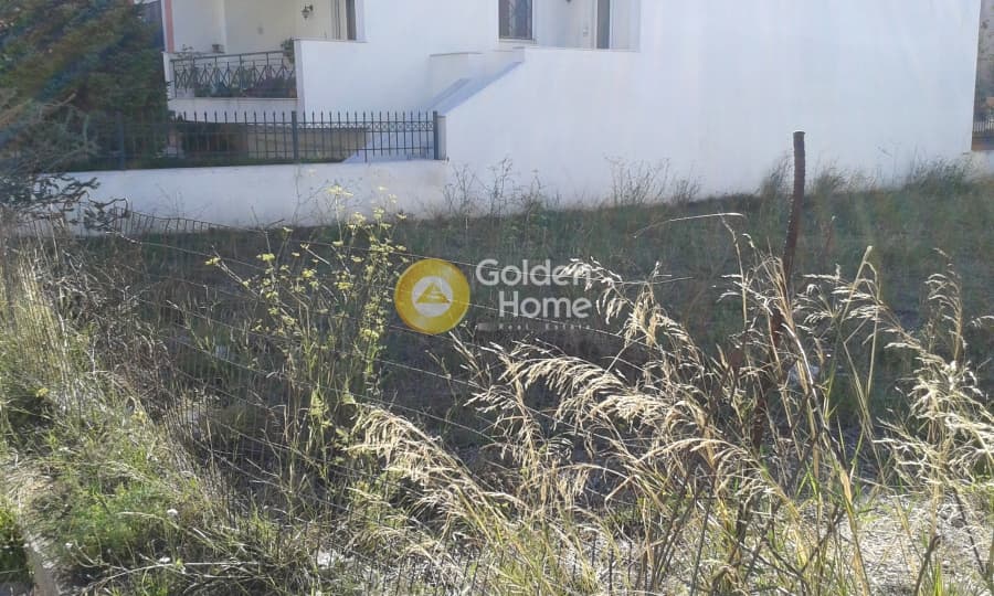 Οικόπεδο στην Πάτημα, Χαλάνδρι — Φωτογραφία 5 από 8