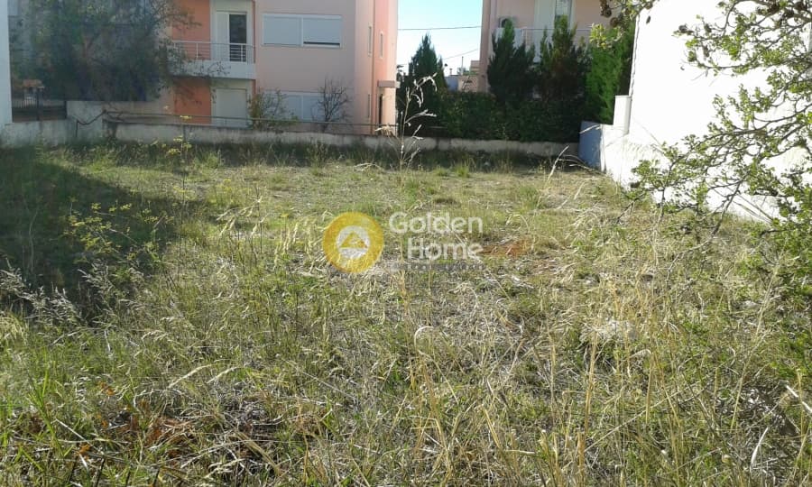 Οικόπεδο στην Πάτημα, Χαλάνδρι — Φωτογραφία 6 από 8