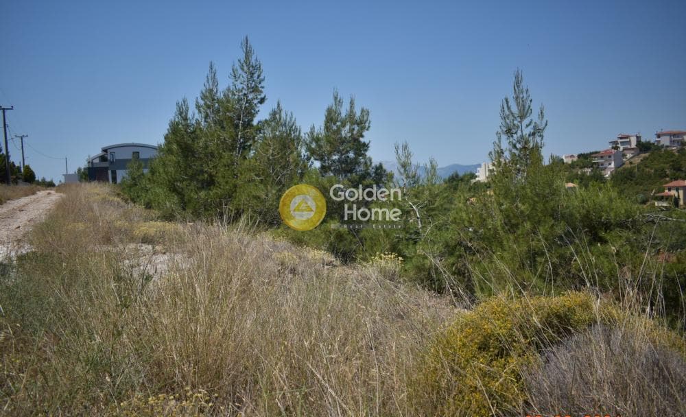 Building Plot in Dasamari, Pikermi — Photo 15 of 15