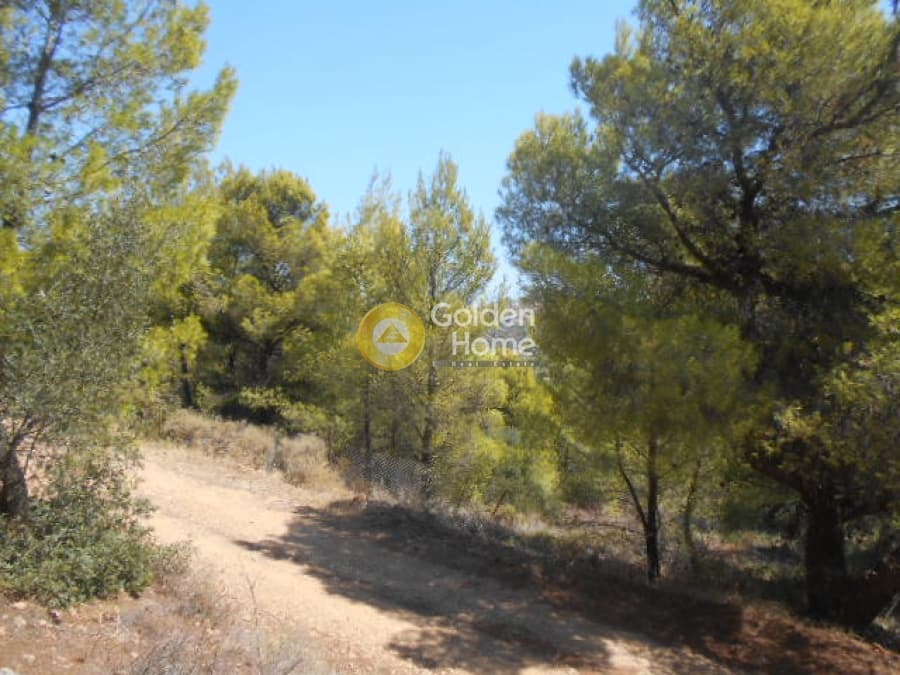 Parcel in Center, Pikermi — Photo 4 of 11