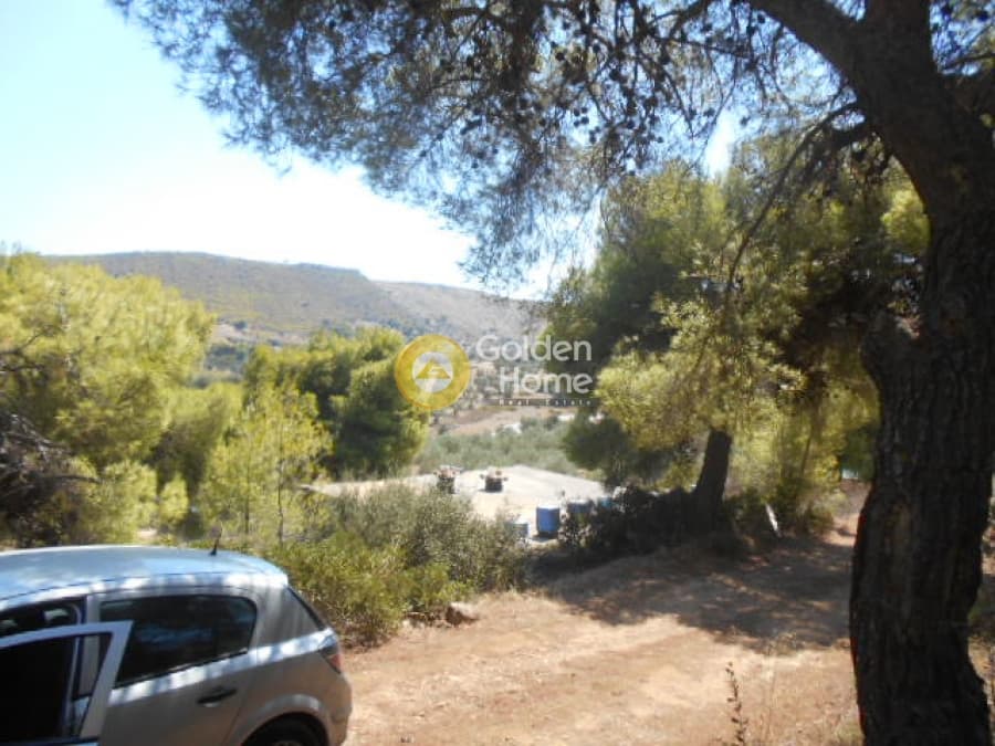 Parcel in Center, Pikermi — Photo 5 of 11