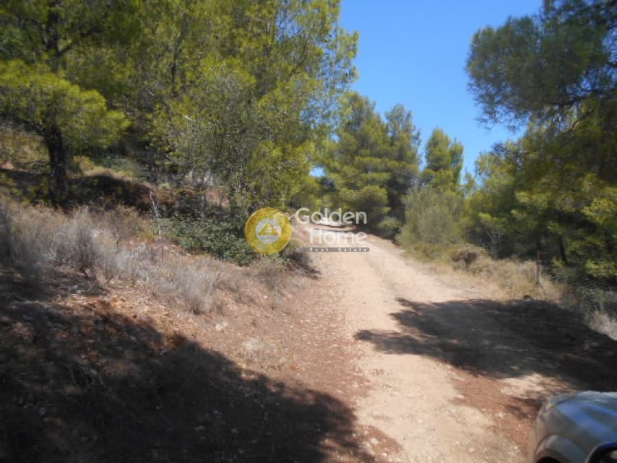 Parcel in Center, Pikermi — Photo 7 of 11