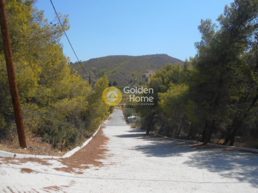 Parcel in Center, Pikermi — Photo 9 of 11