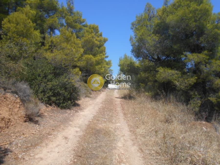 Parcel in Center, Pikermi — Photo 10 of 11